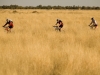 Simpson Desert Bike Challenge, 2007DAY 4 STAGE 7 Riders 16, 5 and 8